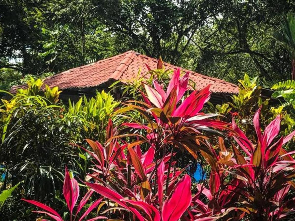 Casa Colores Montezuma Eksteriør bilde