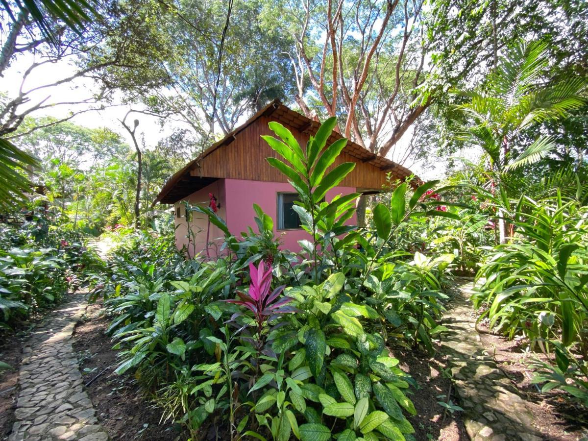Casa Colores Montezuma Eksteriør bilde