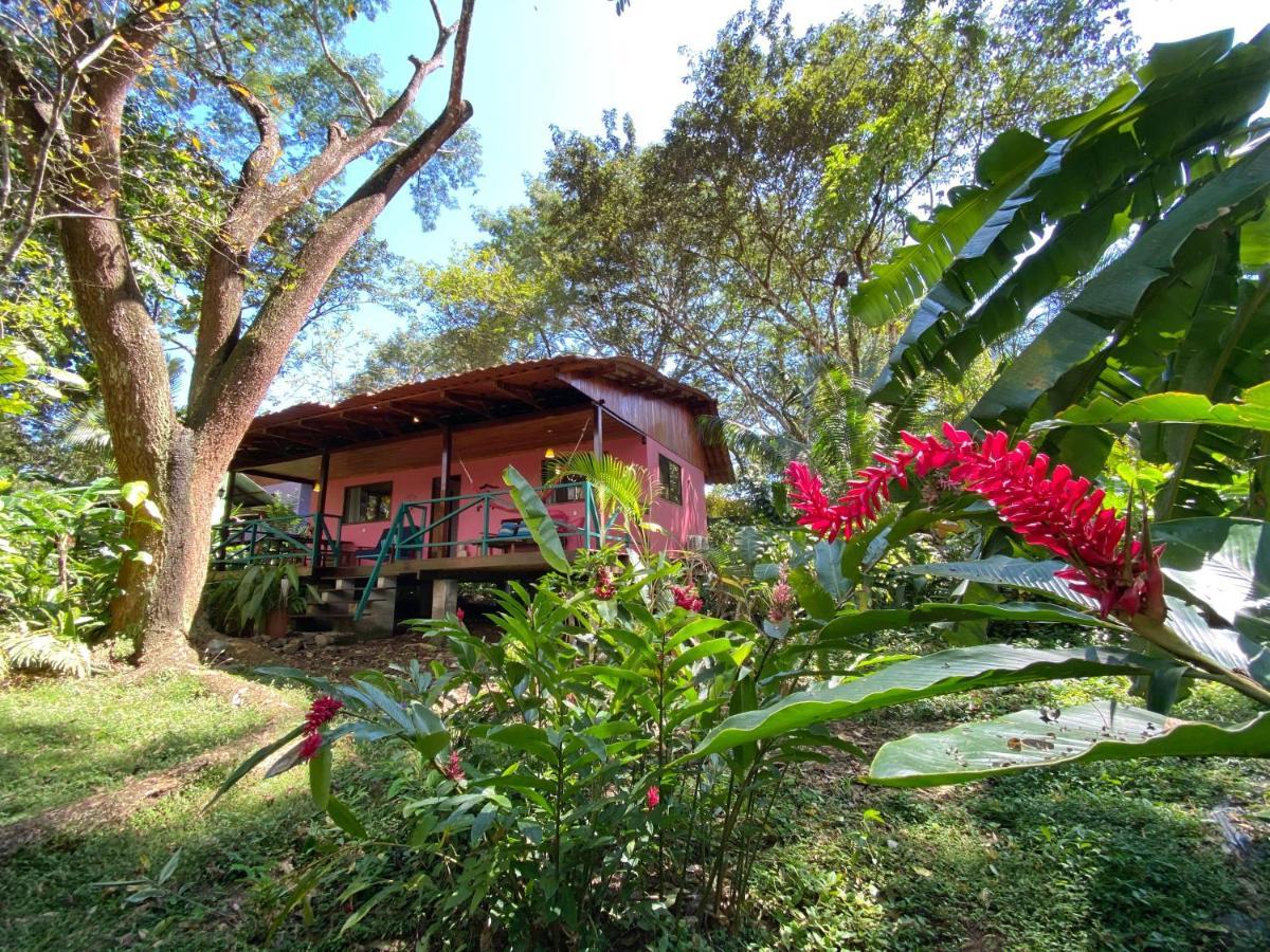 Casa Colores Montezuma Eksteriør bilde