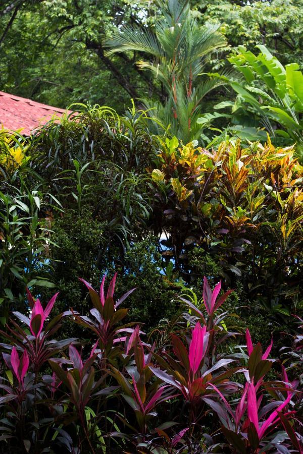 Casa Colores Montezuma Eksteriør bilde