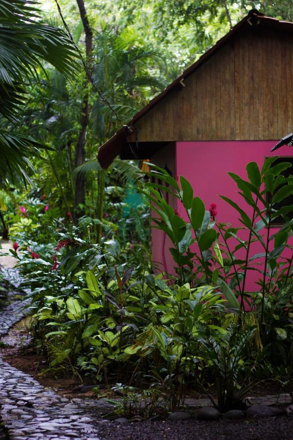 Casa Colores Montezuma Eksteriør bilde