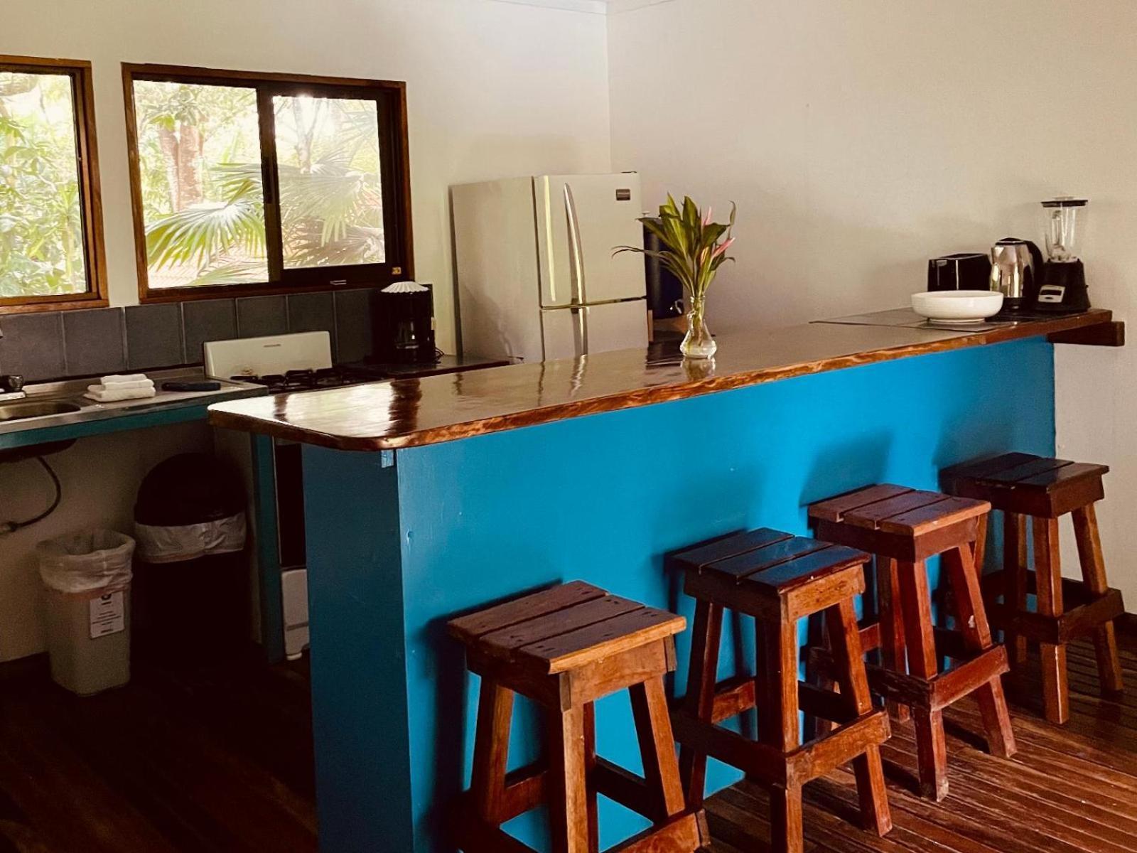 Casa Colores Montezuma Rom bilde